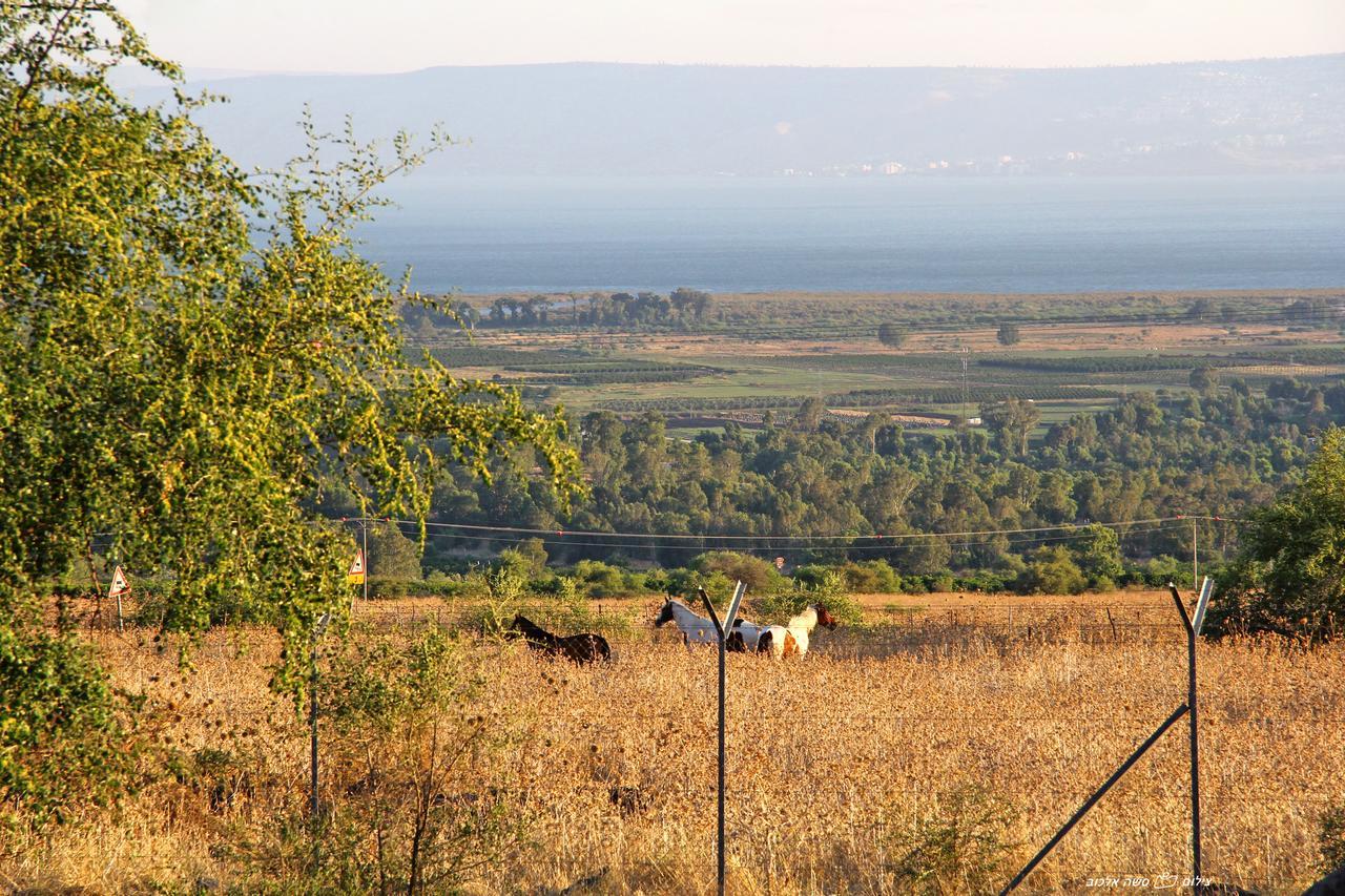 Nof Kinneret Cabins CChad Nes Exteriér fotografie