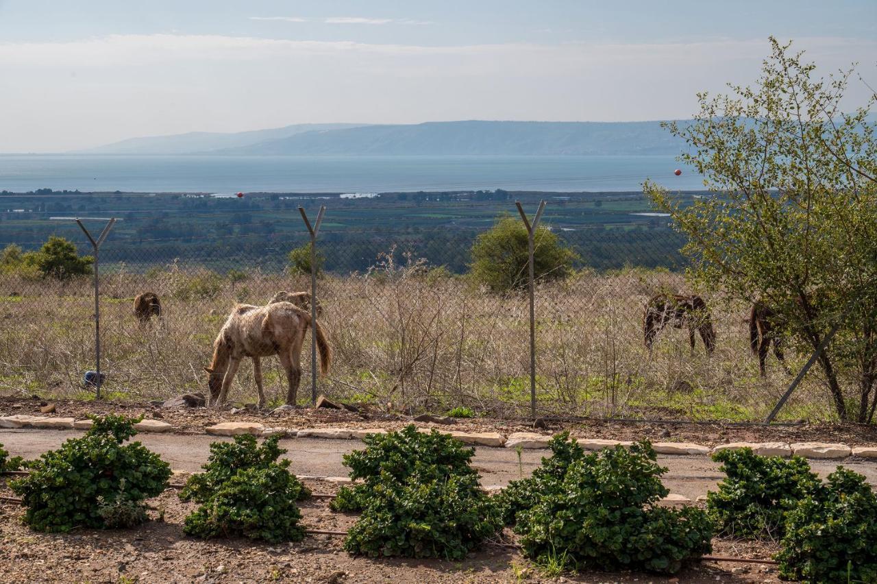 Nof Kinneret Cabins CChad Nes Exteriér fotografie