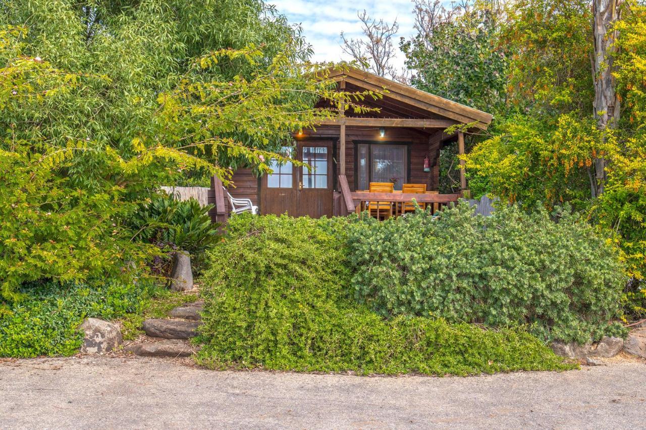 Nof Kinneret Cabins CChad Nes Exteriér fotografie